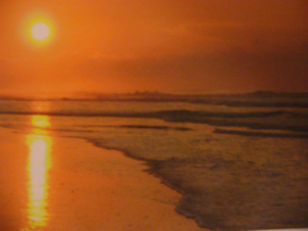 Catlins Newhaven Holiday Park Owaka Ruang foto