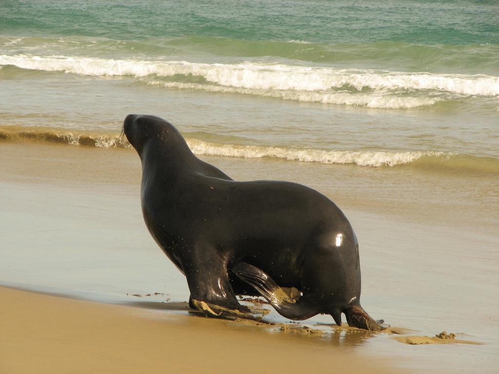 Catlins Newhaven Holiday Park Owaka Ruang foto
