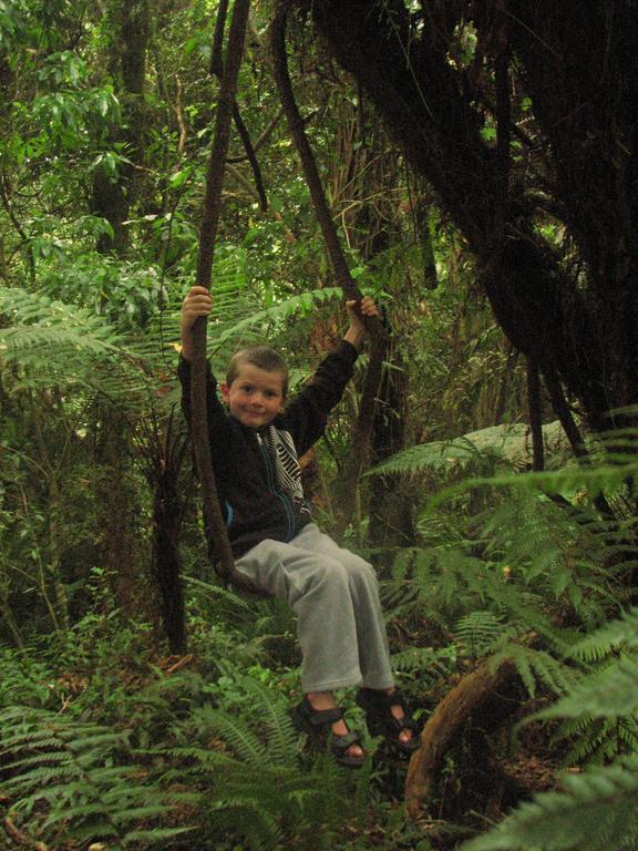 Catlins Newhaven Holiday Park Owaka Ruang foto