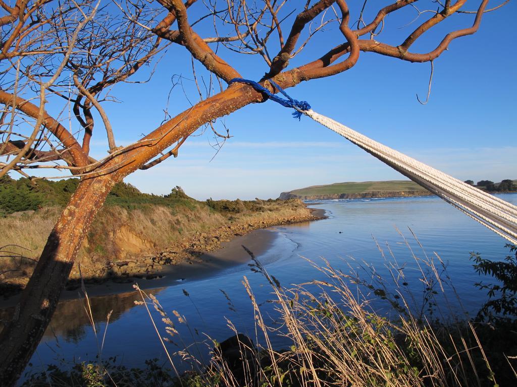 Catlins Newhaven Holiday Park Owaka Ruang foto