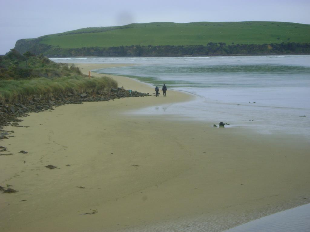 Catlins Newhaven Holiday Park Owaka Bagian luar foto