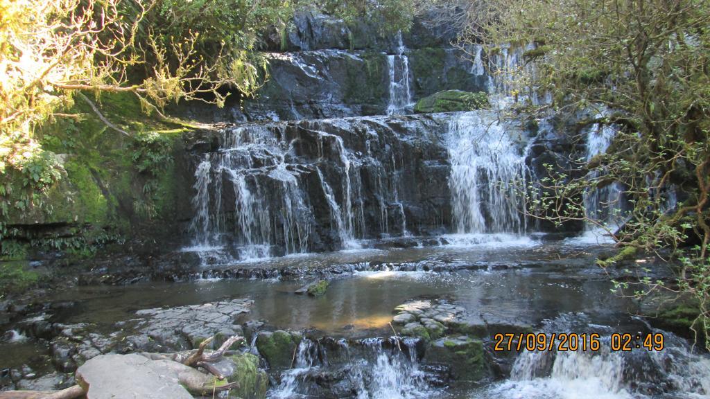 Catlins Newhaven Holiday Park Owaka Bagian luar foto