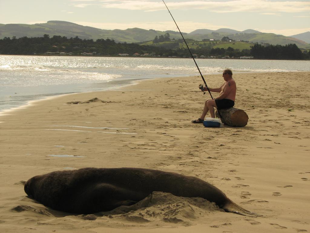 Catlins Newhaven Holiday Park Owaka Bagian luar foto